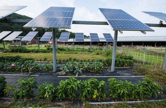 Agriculture & Solar Power, Hand In Hand Working Together For A Greener Future