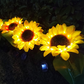 LED Solar Sunflower Lamps Solar Light Decorative Lights