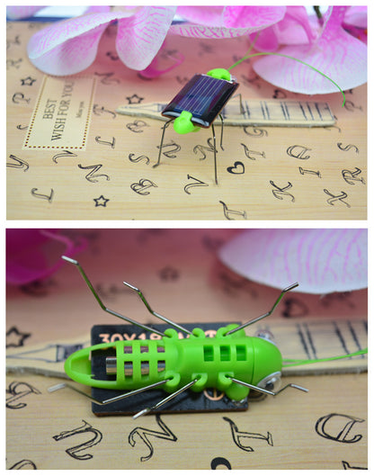 Solar Grasshopper Simulation Insect Toy