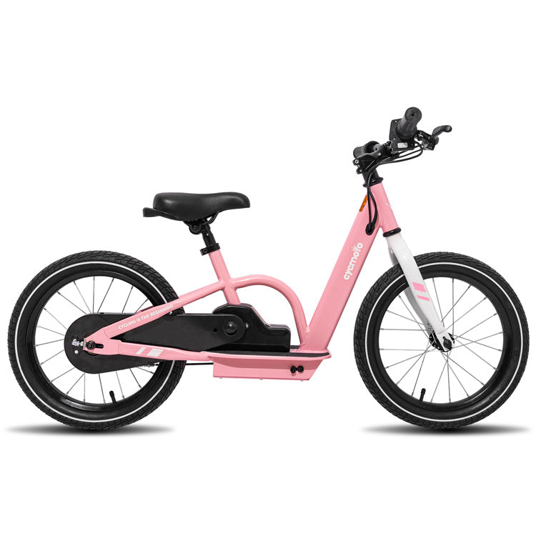 electric bicycle