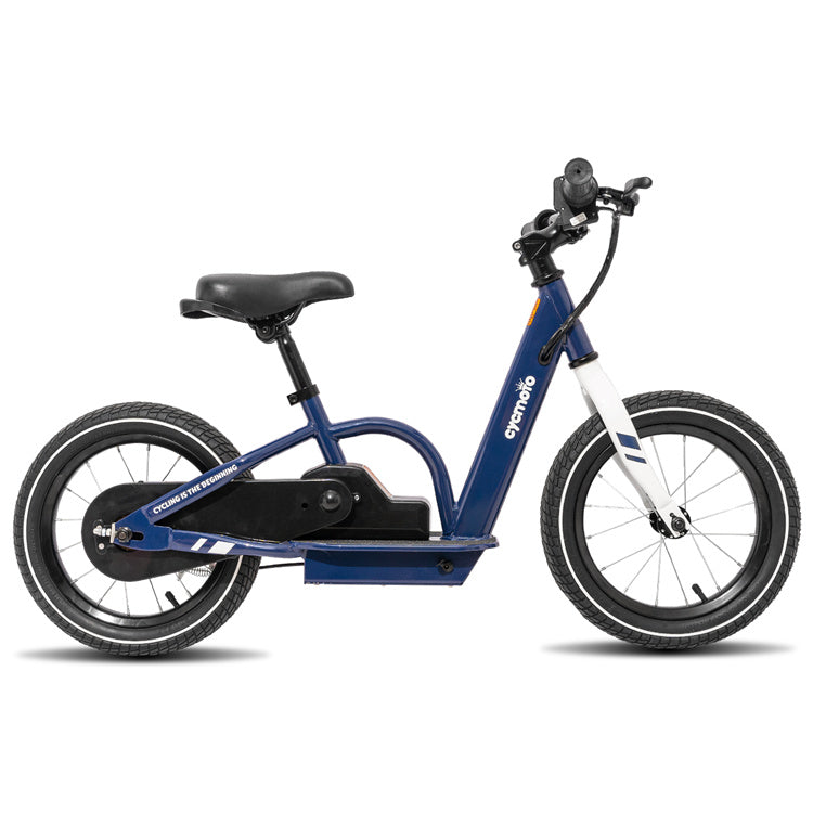 fast electric bike